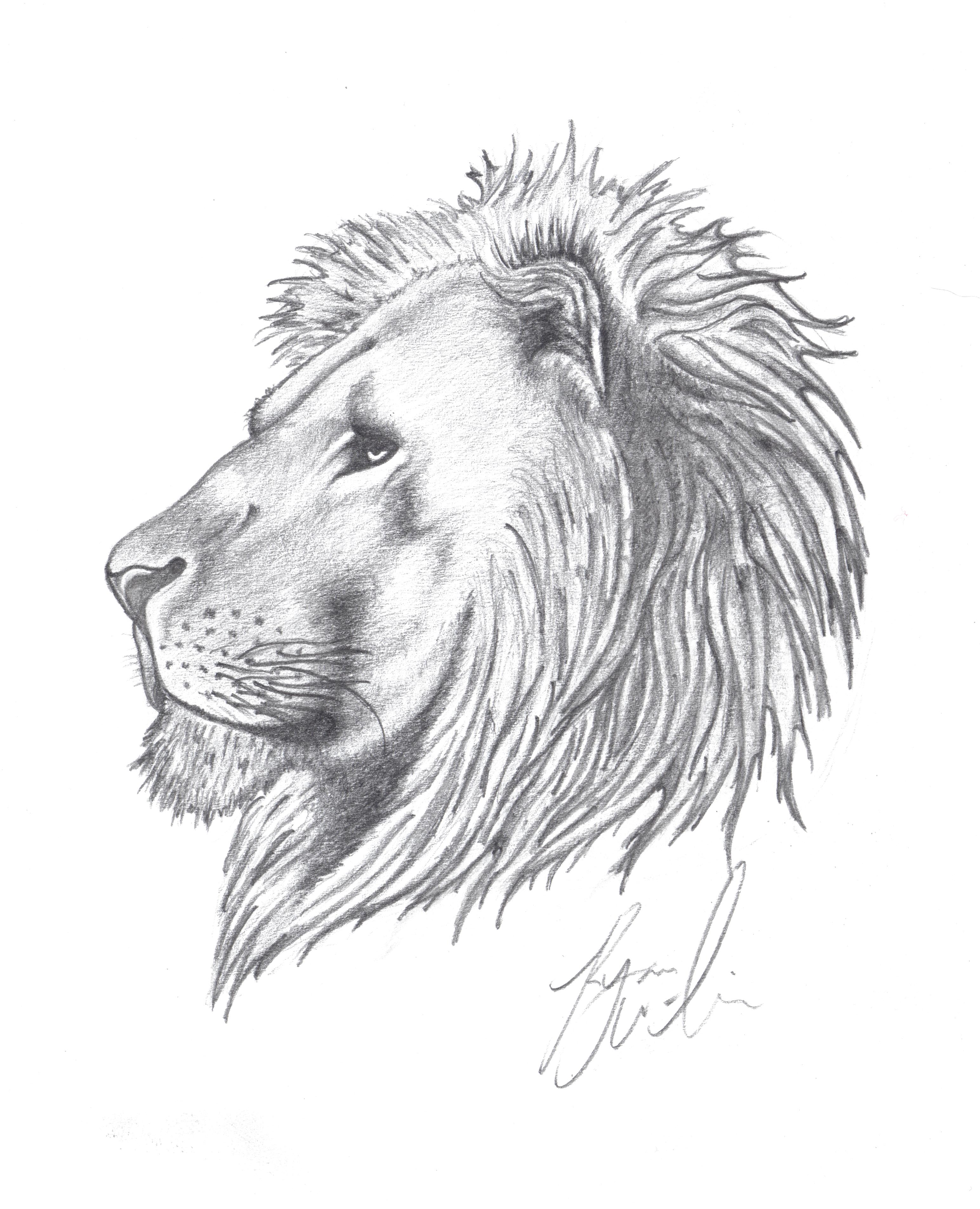 Изображение Льва рисунок